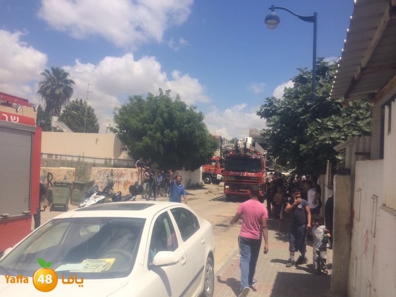 fire in ma7ata lud 0602 (7).JPG